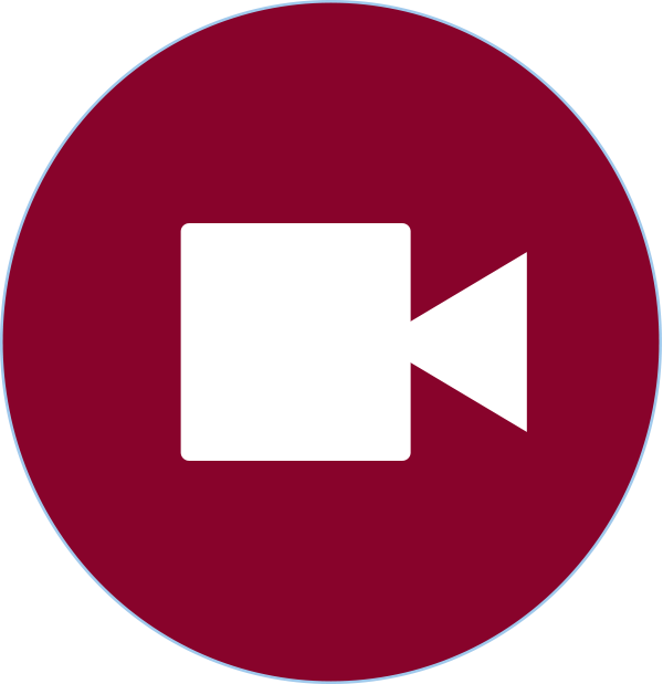 maroon video icon